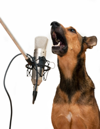 barking_in_mic_R