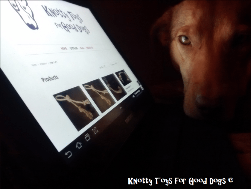 IMG_20150317_212134188b