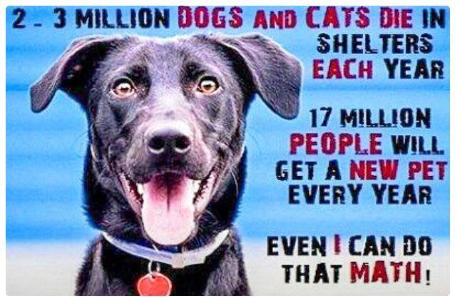 1901175_850288028360766_5463100278334267881_n