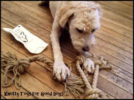 Barb Shaw & Hamish2b