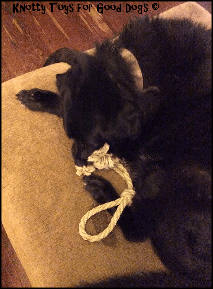 Deanne Rodgers Tanksley _ Doozer