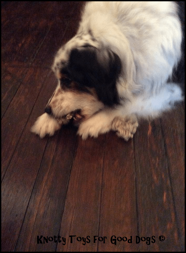 Deanne Rodgers Tanksley _Patches