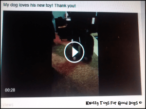 IMG_20150405_195517647