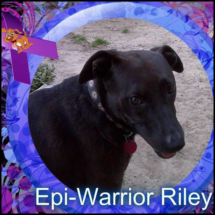 Living The LIfe of Riley