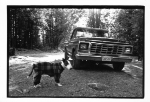 265572_10150220086282581_6969203_o