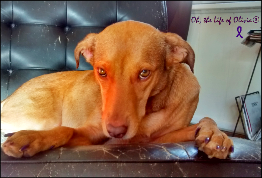 IMG_20141112_135209177_HDRb