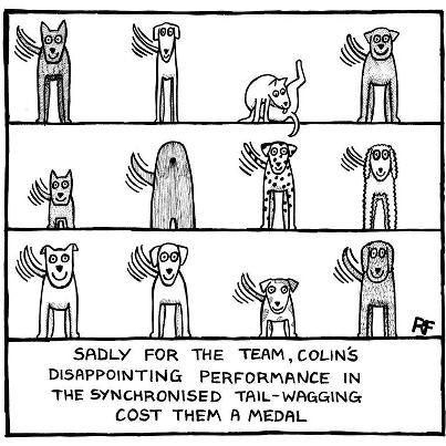 10156147_758046030880373_2080735042720089526_n