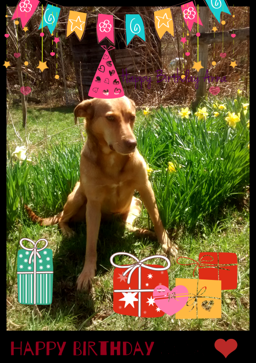 IMG_20150506_114210882bd