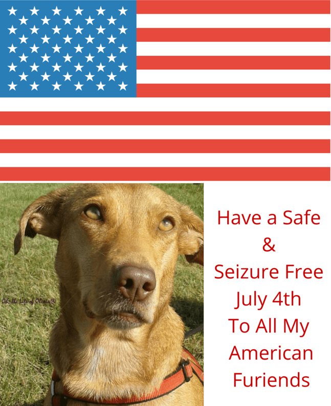Have a Safe & Seizure Free July 4th To