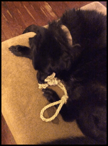 Deanne Rodgers Tanksley - Maggieb