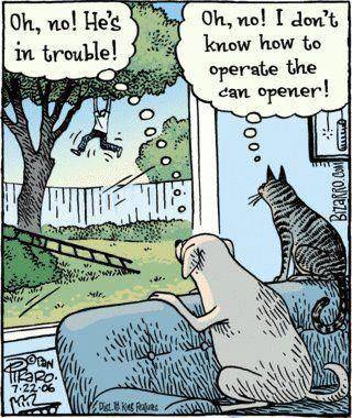 Funny-dog-an-cat-cartoon