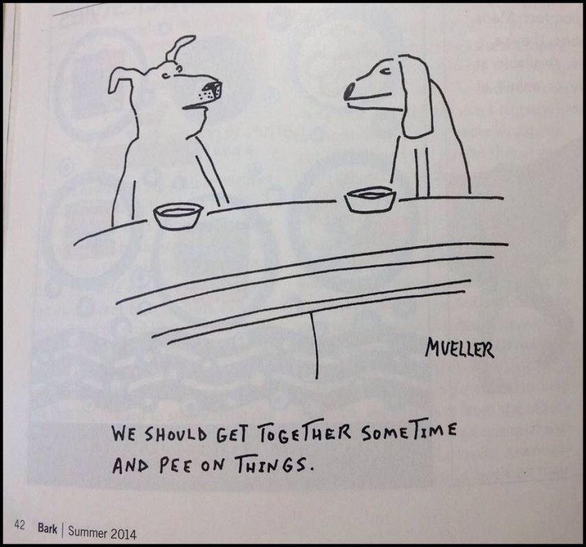 10449940_648271415266654_8264752089710091631_n