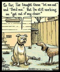 dog-humor-cartoon-21770872