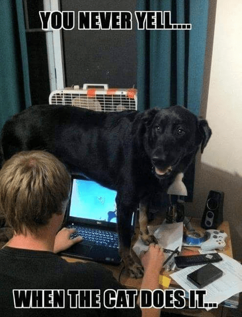 12391085_10153420264593246_948339330603772715_n