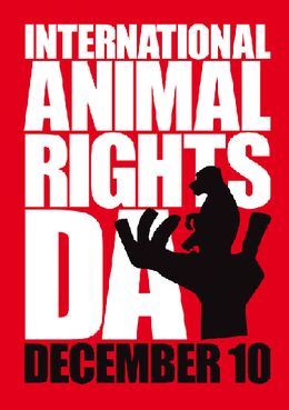 animal rights day