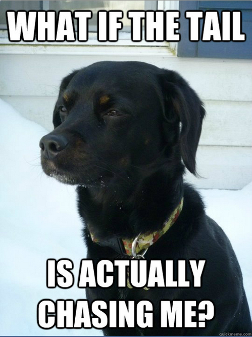 funny-dog-meme-what-if-the-tail-is-actually-chasing-me