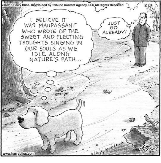 12729379_10207542686057657_3201410495513541920_n