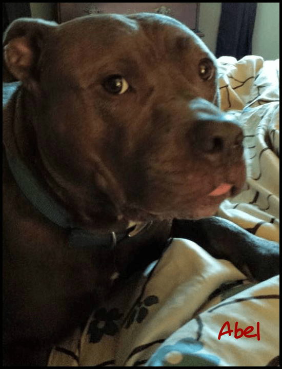 Abel_ Jean Maddox Gray