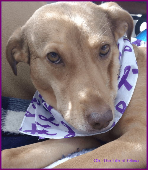 Thank you Rugers Mom & Dad