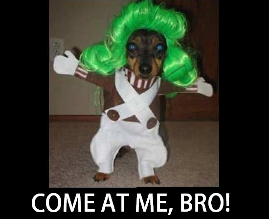 685dc2d343268d850f6916a4d041ba5e.600x