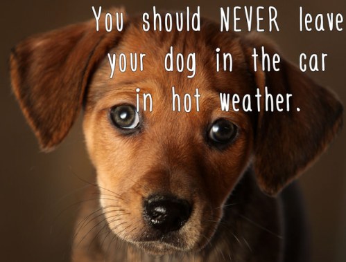 enhanced-4888-1435676467-1