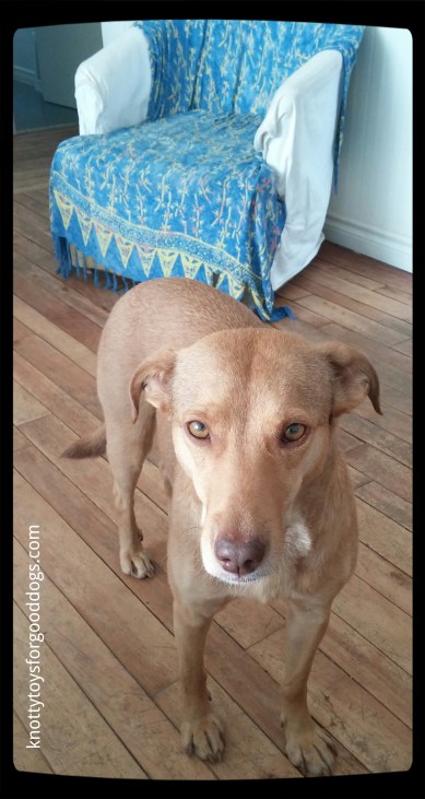 Fotor_146248886235180