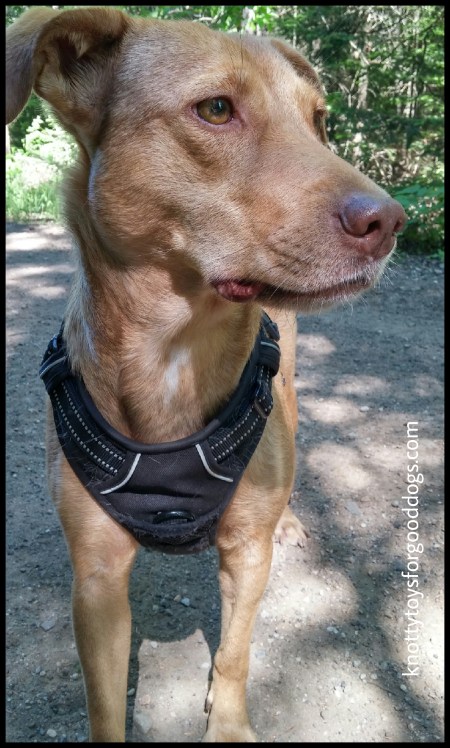 42f232f0-e028-4e59-b888-ccf1058c13b2