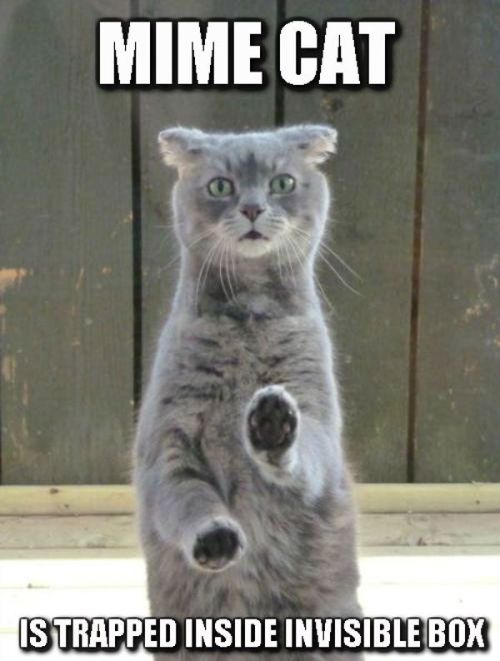 9d69cc4208e490579522b73e2d498be0