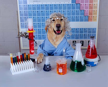 DOG labcoat