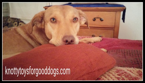 PicsArt_07-18-01.22.39