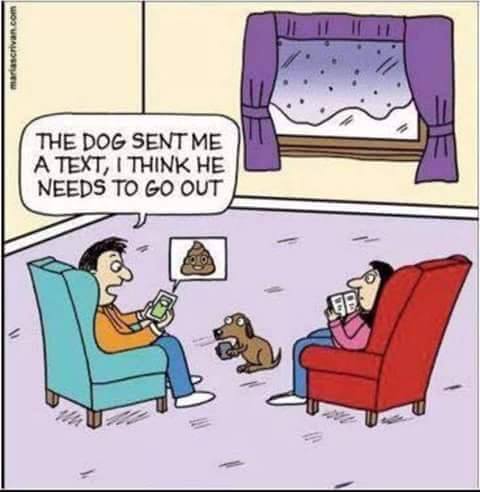 From Riley Page Aug 13th2016