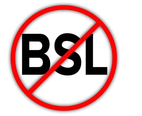 no-bsl