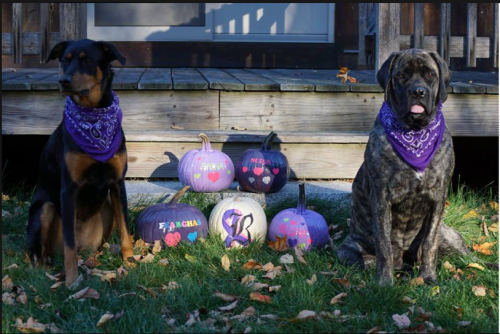 screen-shot-2016-11-17-at-9-59-03-pm