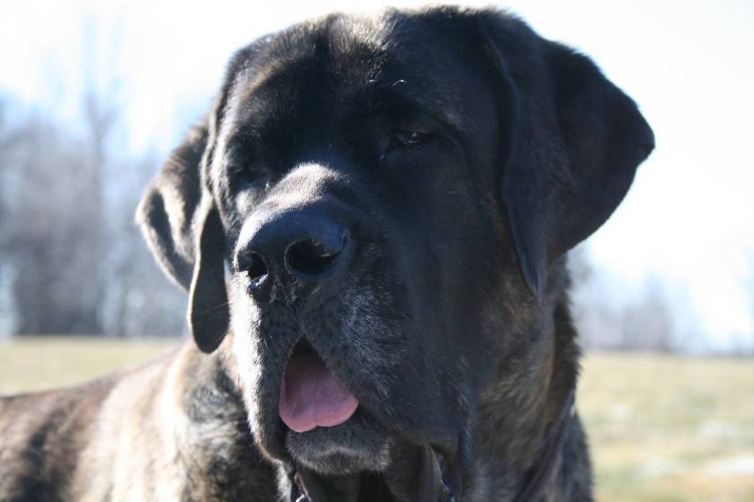 13116134_999084283538421_4483100735221451047_o