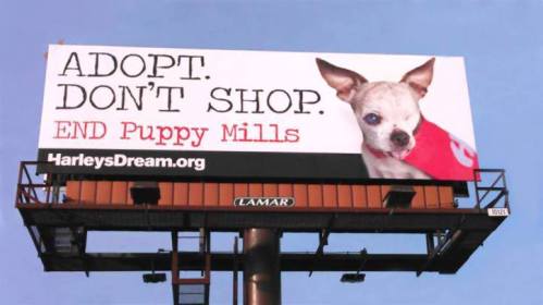 harleys-dream-billboard-in-denver-jan-2017