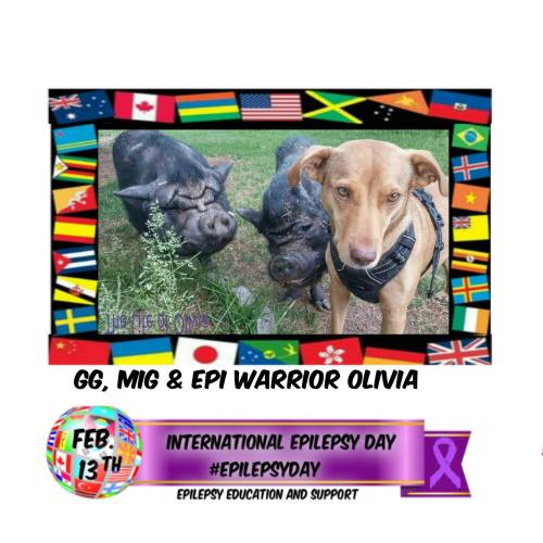 16602378_1242035285886399_6076717586386882886_o