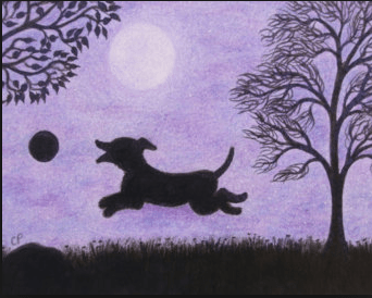 screen-shot-2017-03-03-at-2-05-45-pm