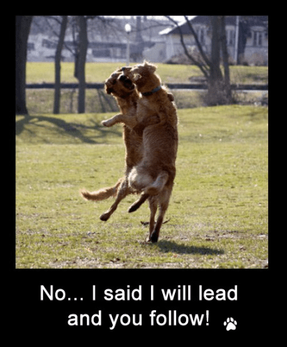 screen-shot-2017-03-05-at-12-40-48-pm