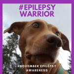 epilepsy warrior