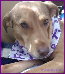 CEO Olivia in a Purple Scarf