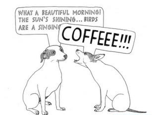 dog demanding morning coffee