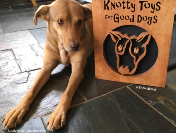Knotty Toys for Good Dogs sign