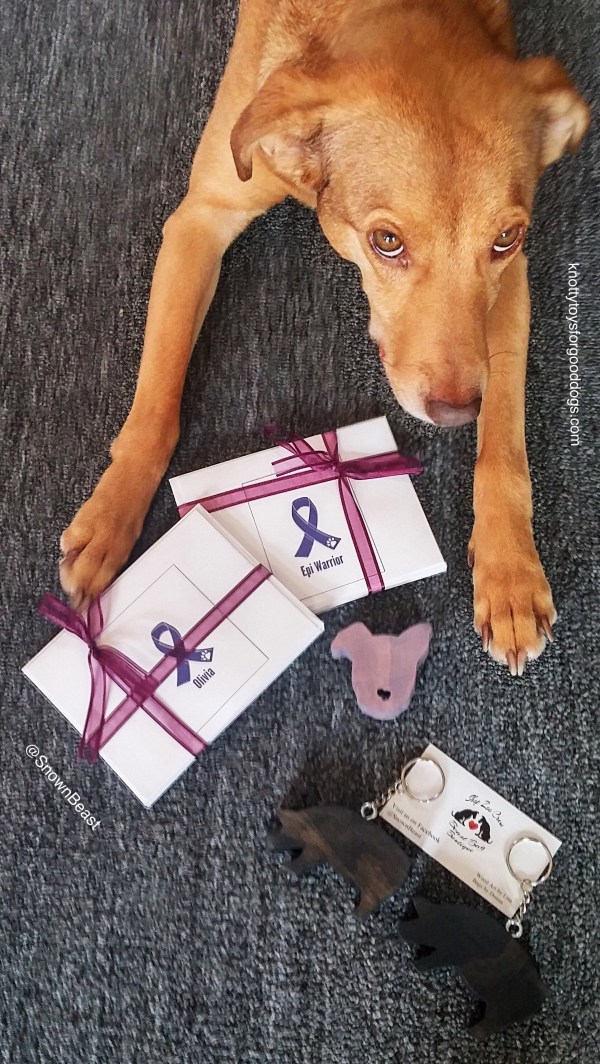 CEO Olivia with cards