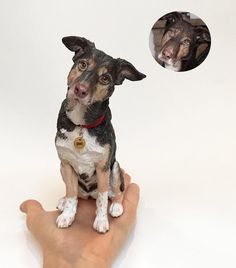 lifelike mini sculpture of dog