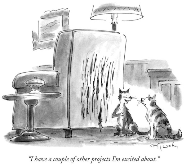 cat cartoon