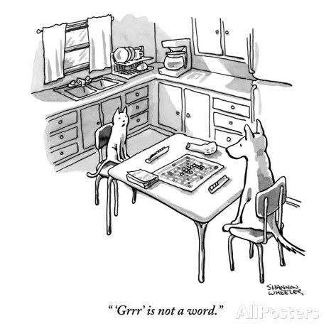 cat & dog Playing scrabble