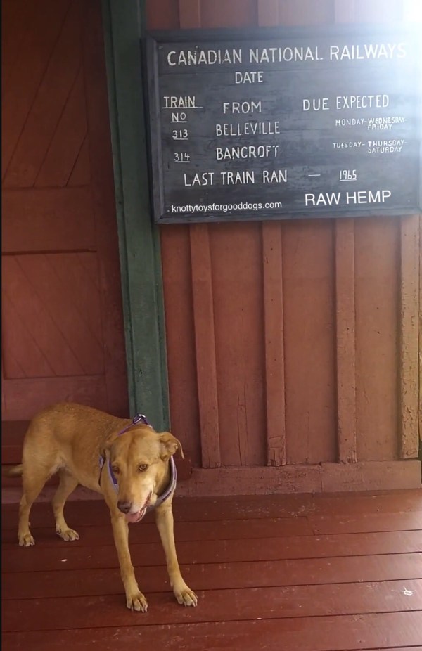 CEO Olivia waits for a train