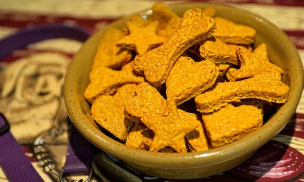Turmeric dog treats