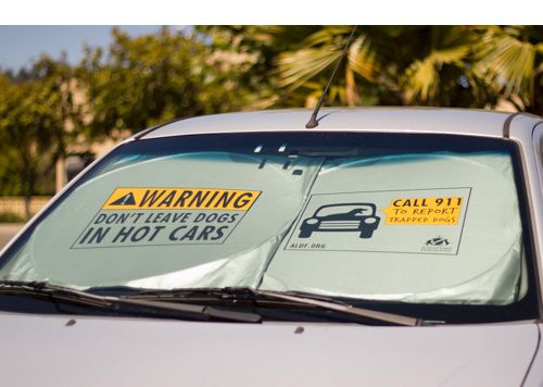 don't leave dogs in hot cars