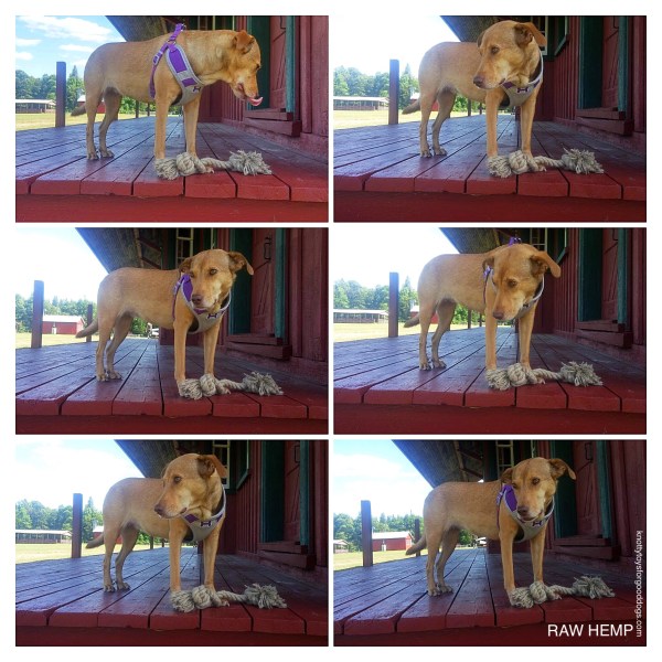 CEO Olivia at the train station